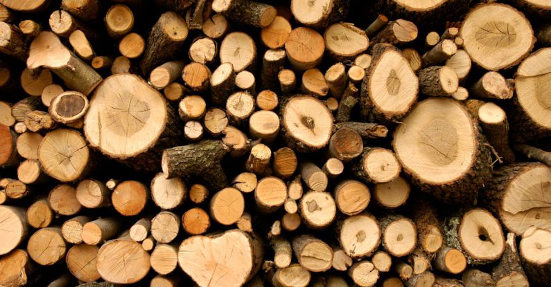 Resources - Firewood Lot